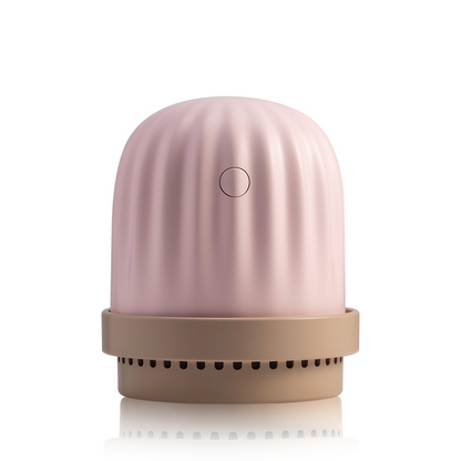 a small pink cactus humidifier and night light